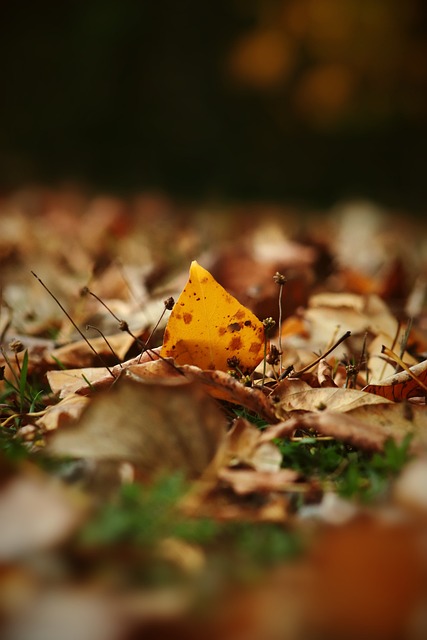 有策略地引 有策略地引