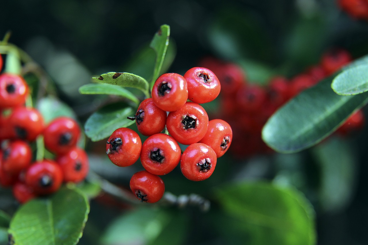 将每一场当 将每一场当